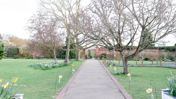 In spring pretty daffodils bloom in the Walled Garden making it perfect for wedding pictures - spring wedding